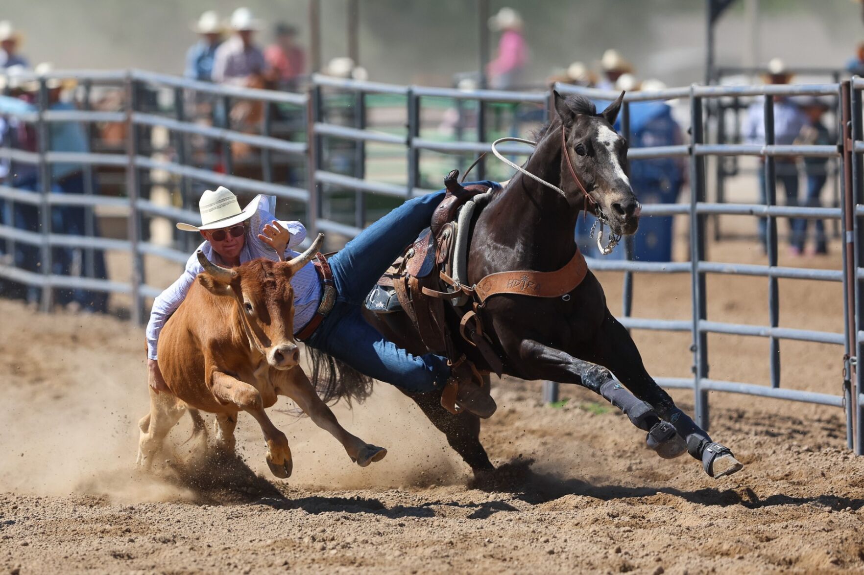BULLS, BRONCS AND BARRELS: Idaho High School Rodeo Finals draws thousands to Gate City this week
